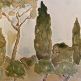Signed watercolor painting “olive tree field in Provence”