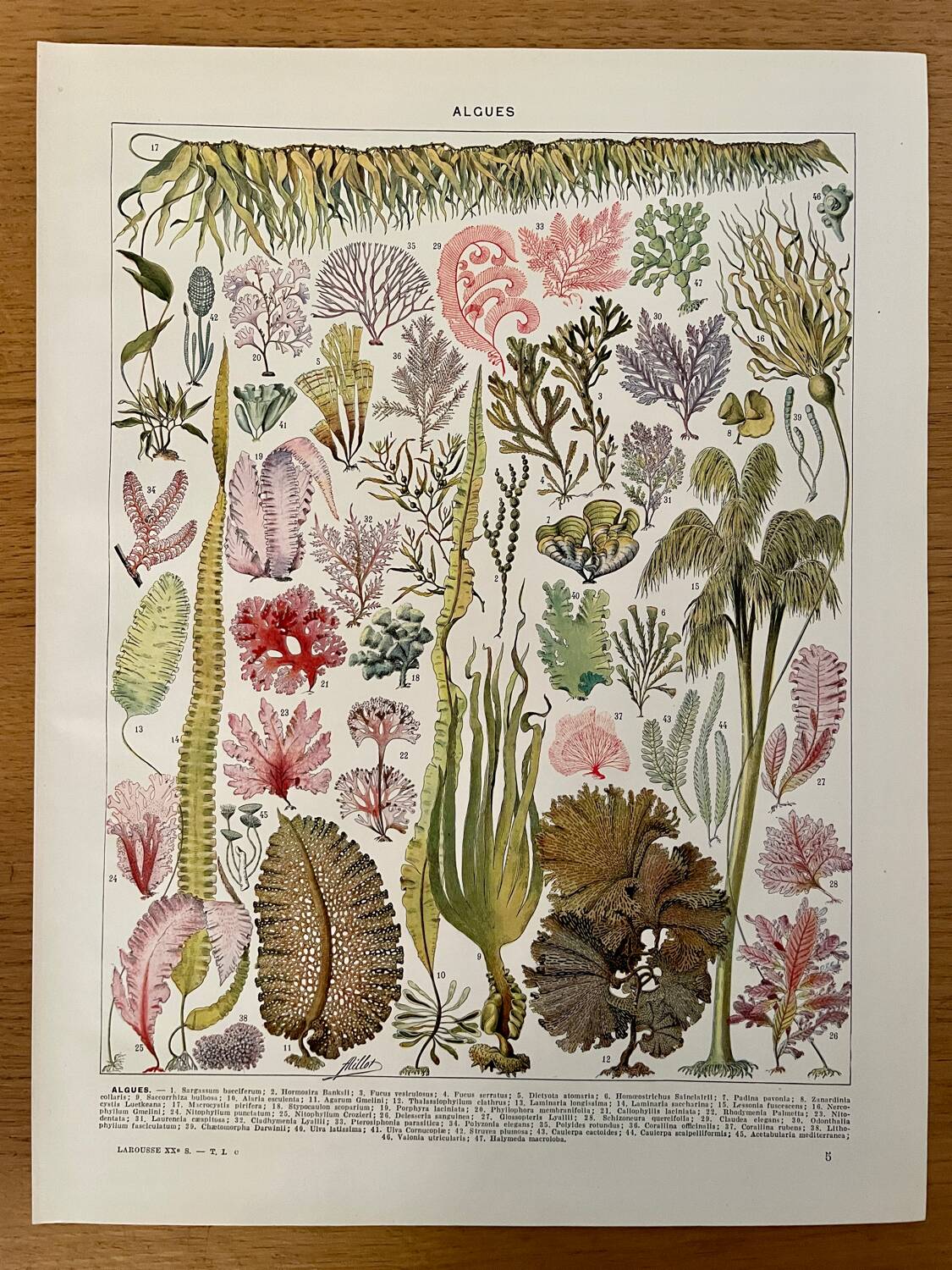 Lot of 3 20th century lithos