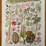 Lot of 3 20th century lithos
