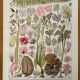 Lot de 3 lithos XXE