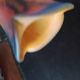 Le Verre Français croix Lorraine - Tulipe verre marmoréen orangé