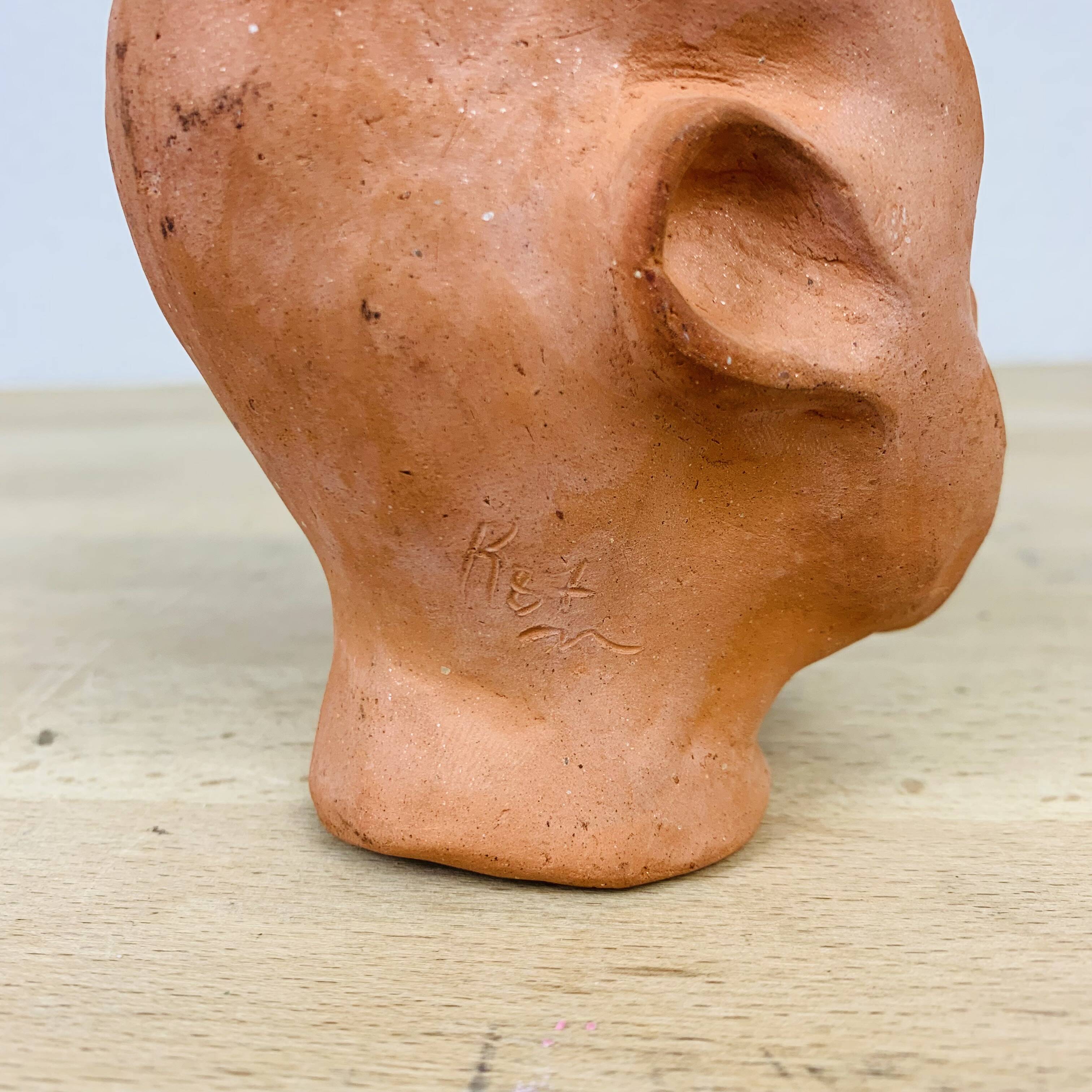 Terracotta head/bust, object of curiosity