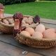 2 baskets basketry, wicker/rope -duck shape, vintage 1970