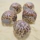 Set de 5 ronds de serviette coquillages