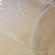 Low table plexiglass