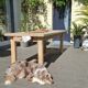 Renovated farmhouse table
