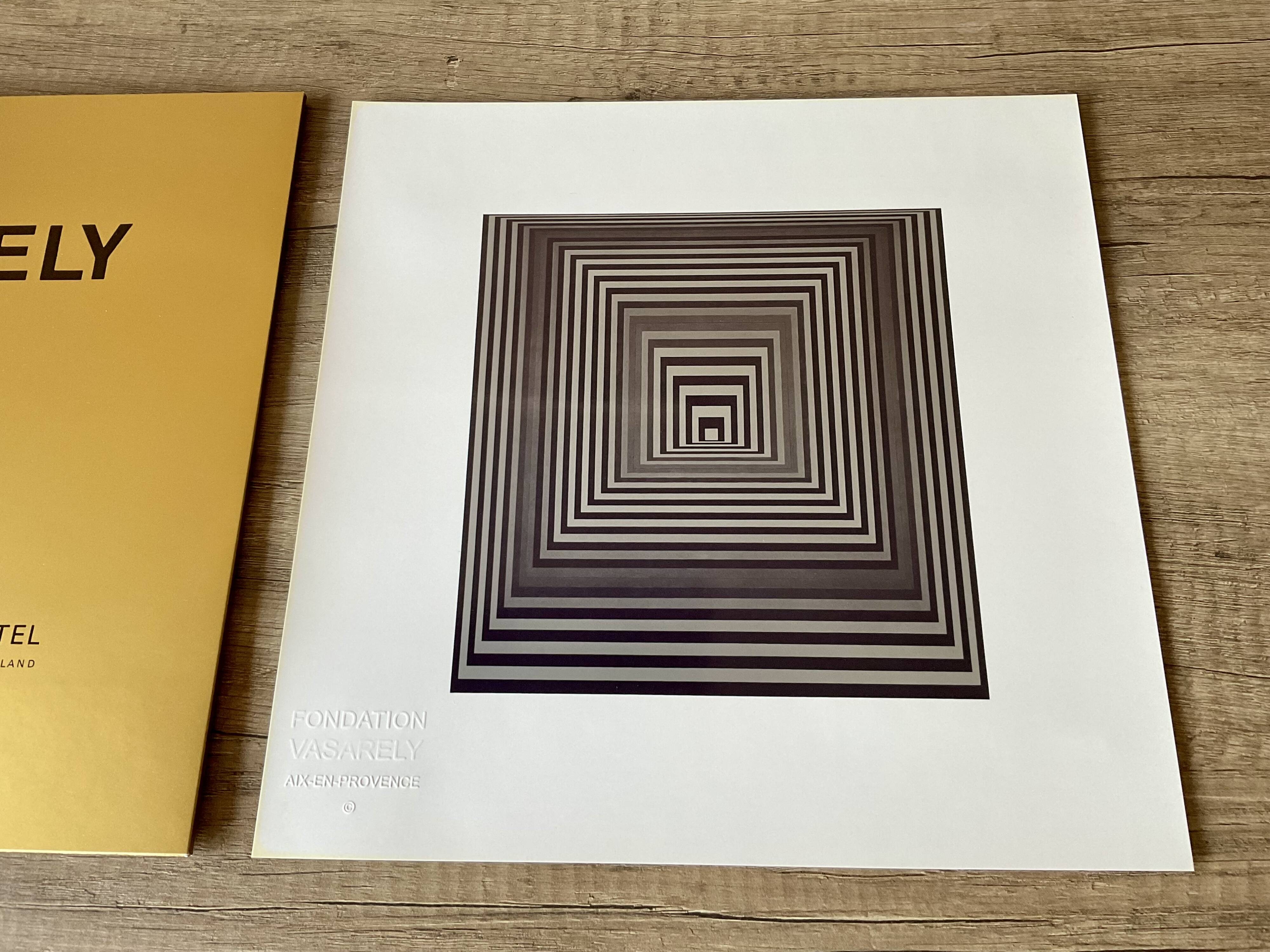 VASARELY : LE MAITRE DE L'OPTICAL ART - Museum TV