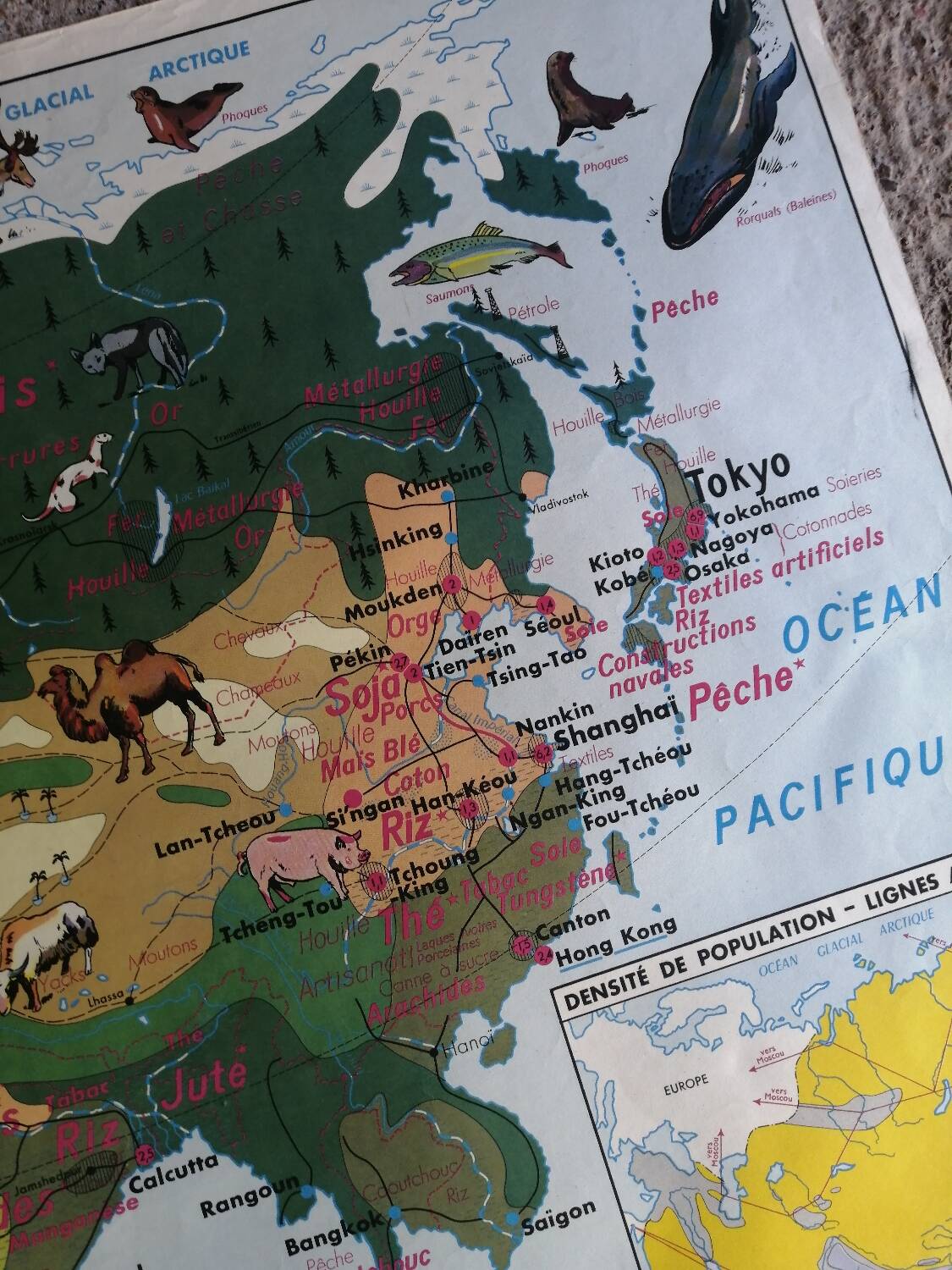 Vintage school map mdi North America-Asia.