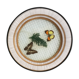 Empty bamboo pocket, glass and true butterfly wings