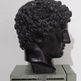 Greek head in waxed black plaster