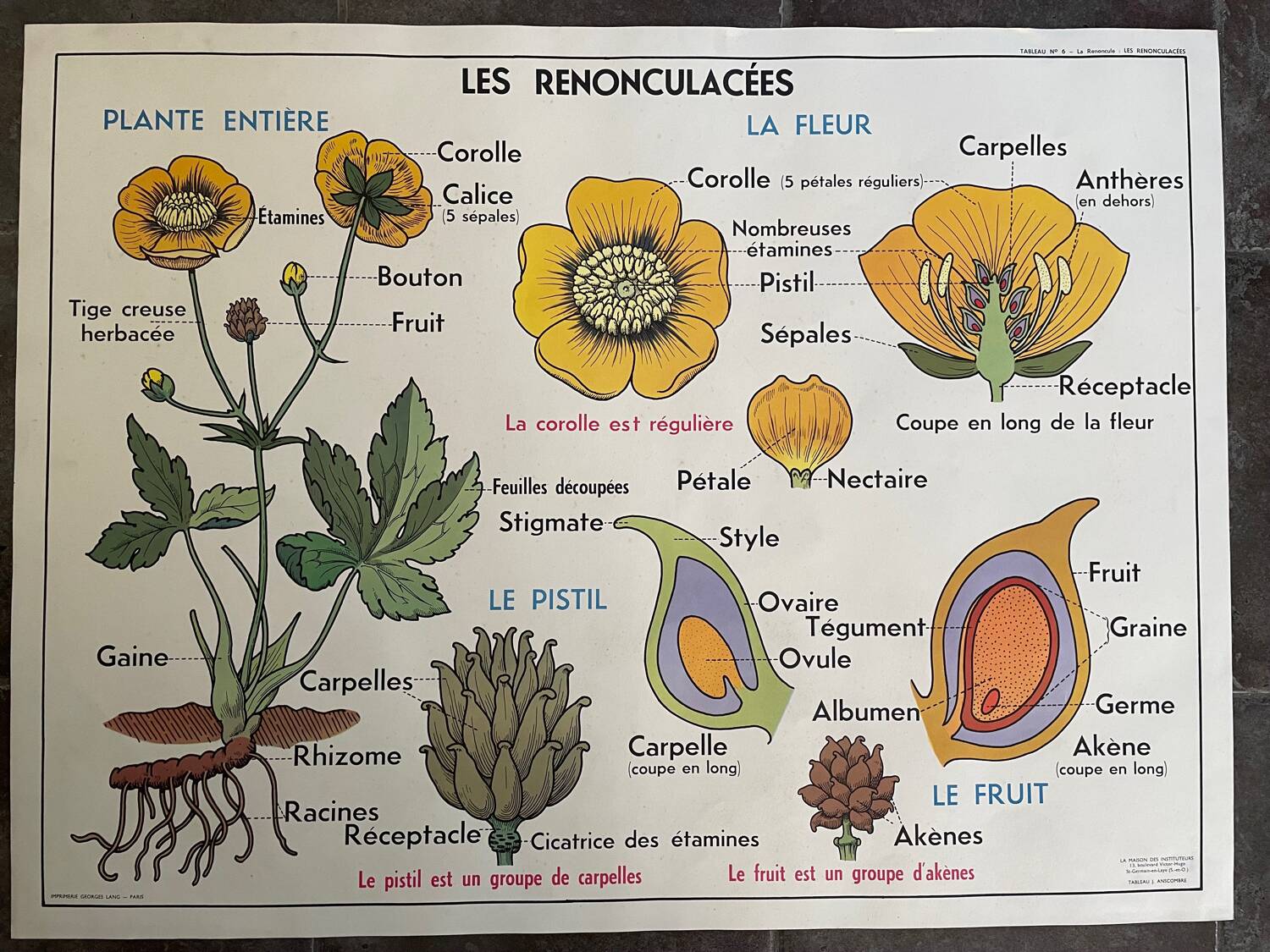 Old school educational poster, school