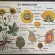 Old school educational poster, school