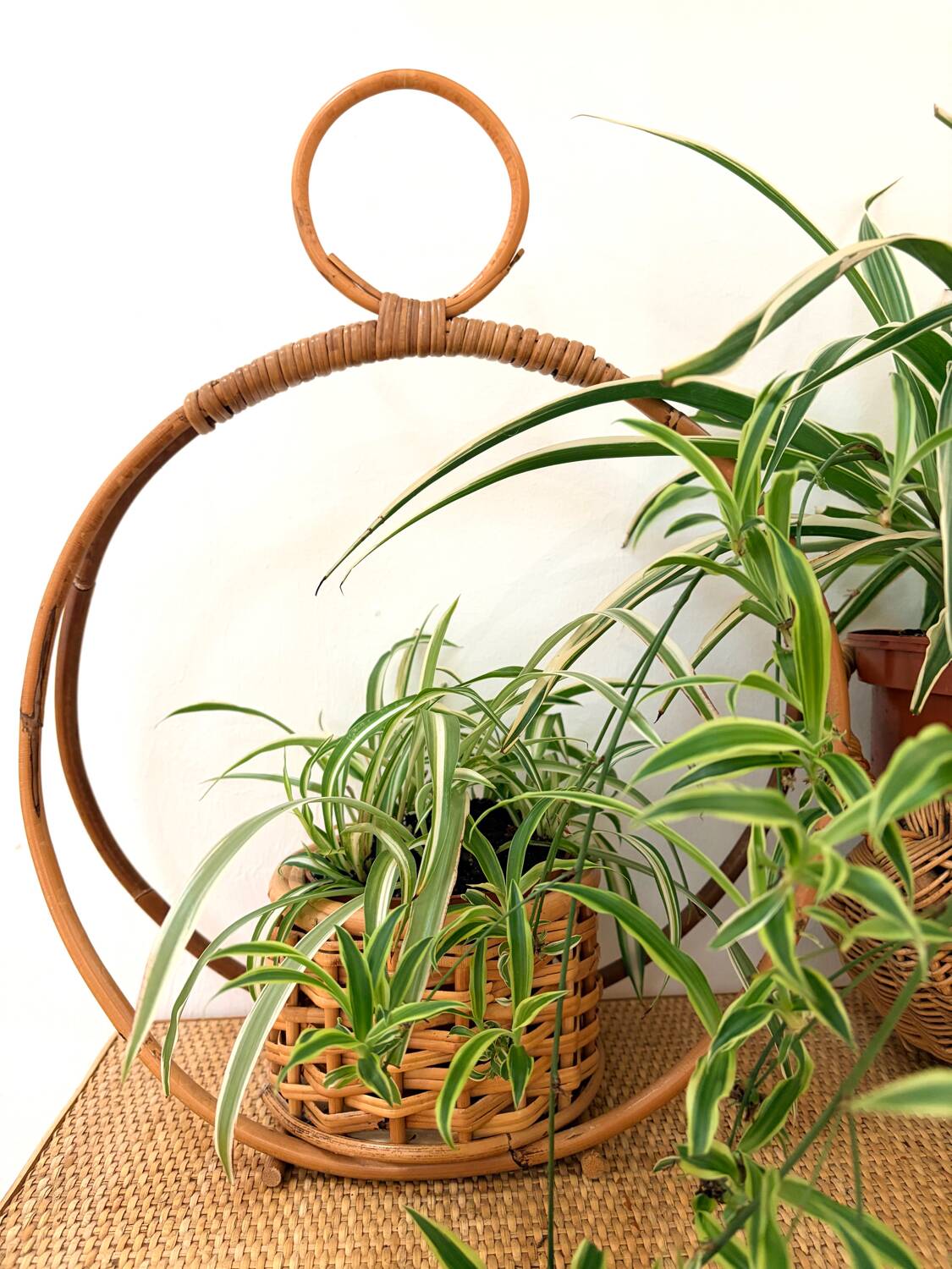 Bamboo and rattan plant holder or pot cover - 1970s
