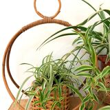 Bamboo and rattan plant holder or pot cover - 1970s