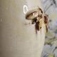 Bee bottle