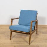 Model 300-139 Armchair from Swarzędz Factory, Poland, 1960s