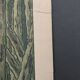 Lithograph by Henri Rivière The Aspects of Nature - Summer Evening