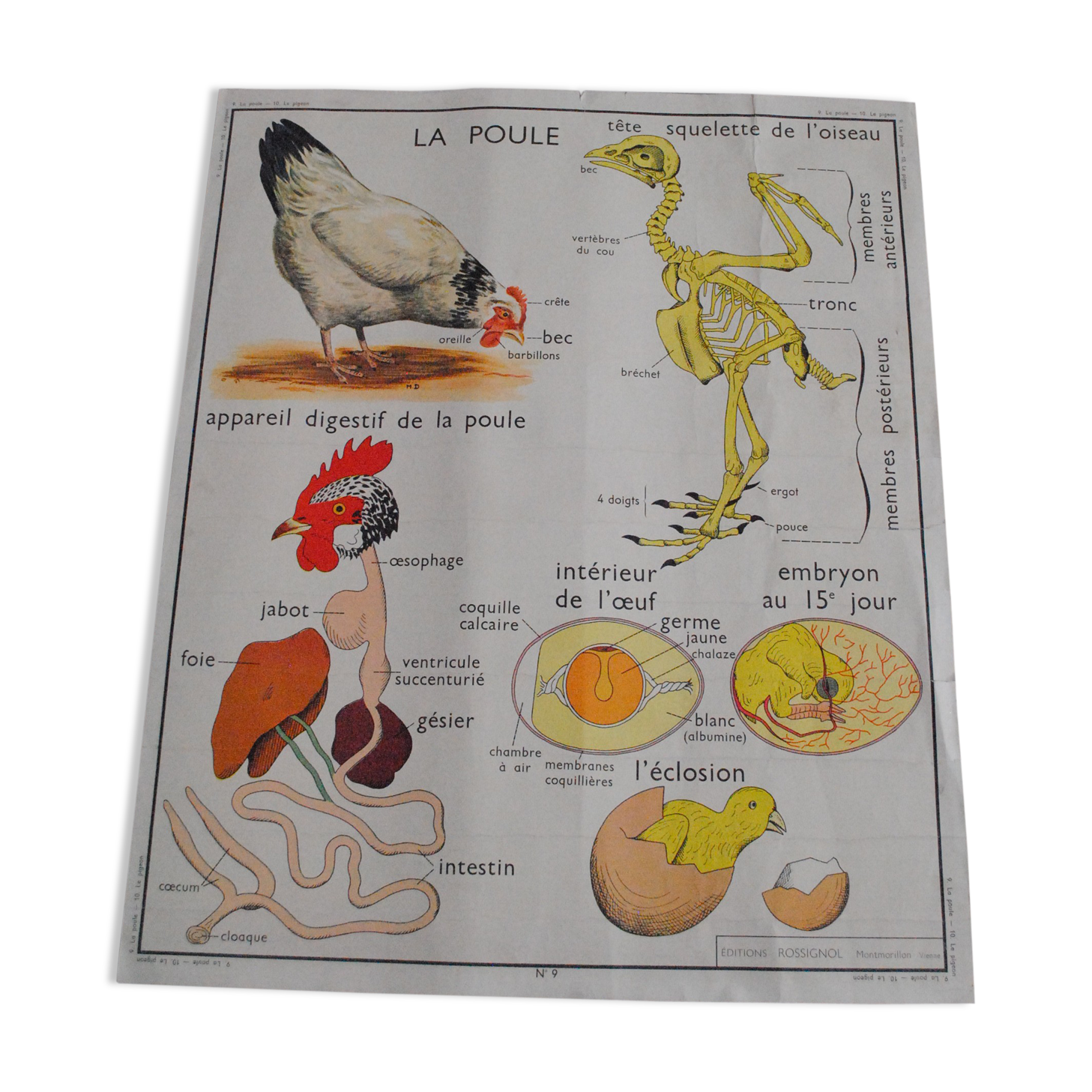 School map The hen and pigeon editions Rossignol