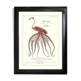 Lithograph engraving chimera animal, the flamoulpe 22x28 cm