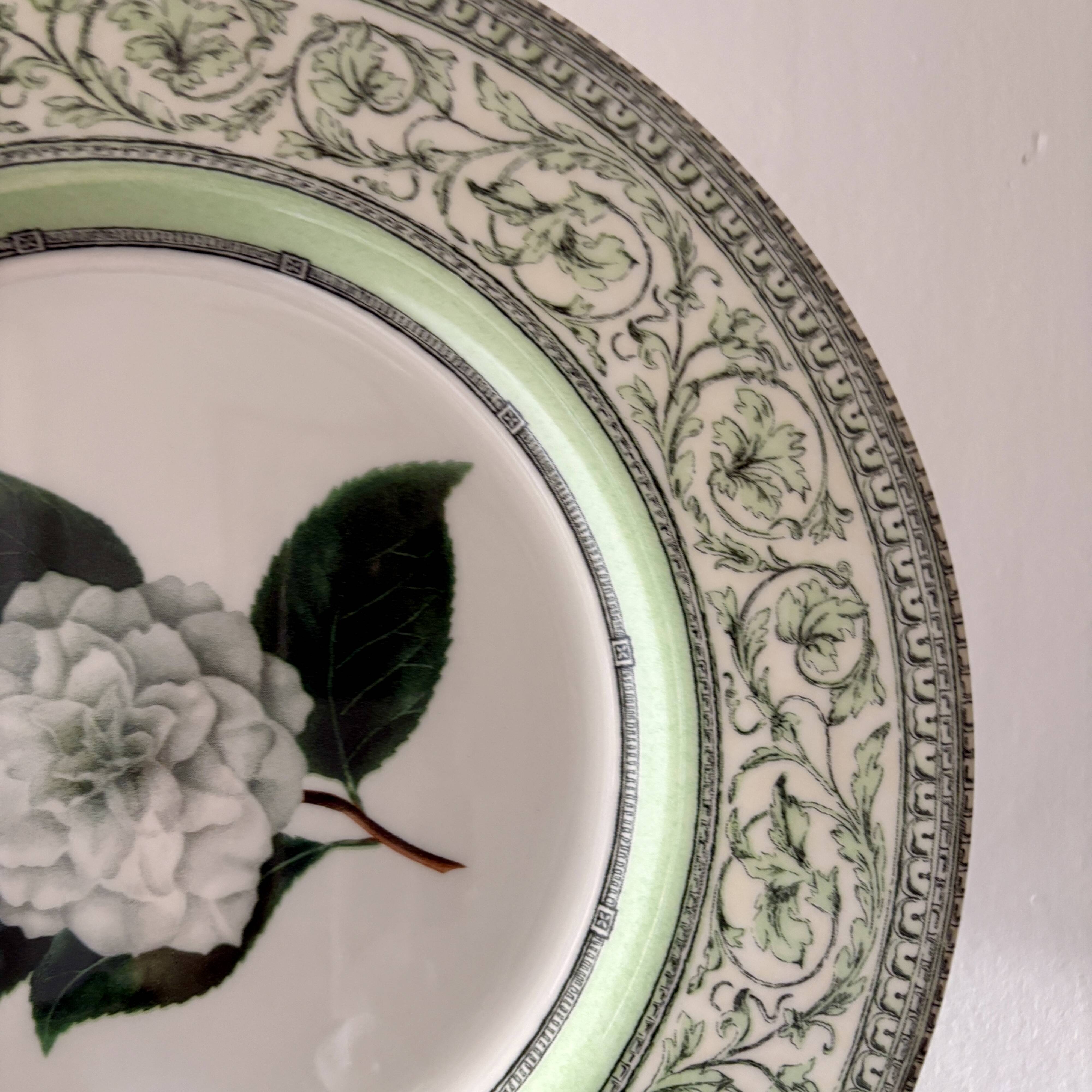 Lot de 8 assiettes plates Camélia - en porcelaine Anglaise
