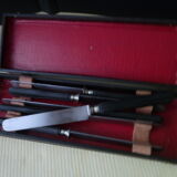 Set of 6 ancient fruit knives steel blades and blacked wooden sleeves napoleon iii