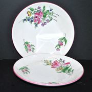 Set of 2 Lunéville earthenware lentil plates with floral decor, Street lamp 17cm