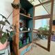 Oak display case