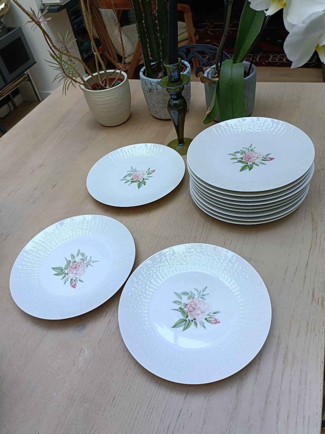 Vintage plates, porcelain, roses