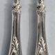 10 silver serving cutlery, Minerva hallmark + rosewood case, 19th century. C730