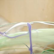 Kosta Boda decorative bowl in glass by Anna Ehrner
