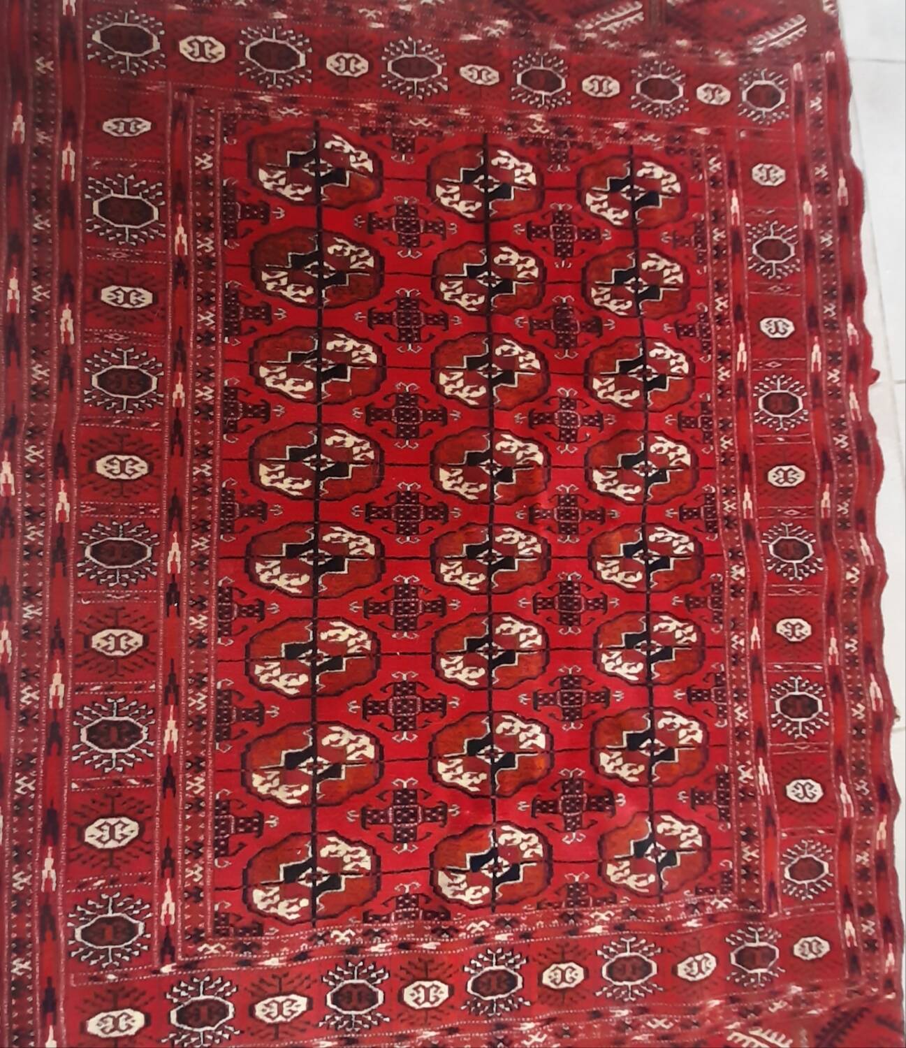 Bukhara rug 163x114 cm hand-knotted