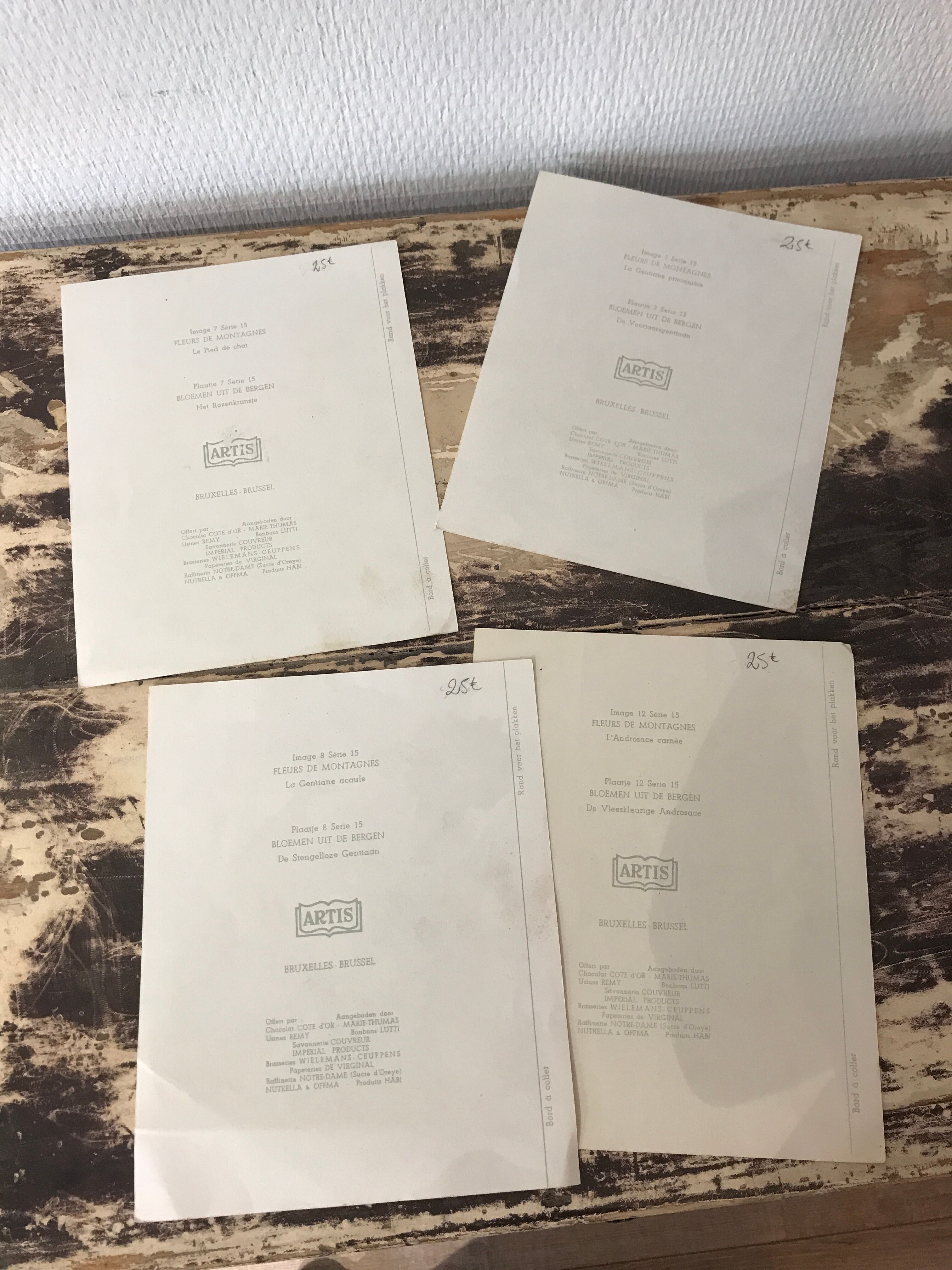 Ancient botanical illustration