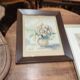 Set of two vintage flower illustrations