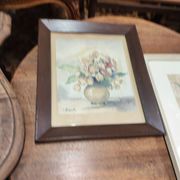 Set of two vintage flower illustrations