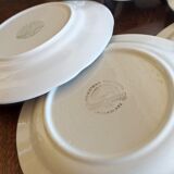 6 flat blue plates in iron earth CP