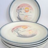 Flat plates Moulin des Loups