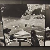Large black and white artworks / photo collage (160x50)
 feet