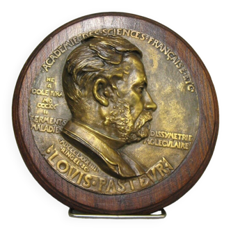 Louis Pasteur bronze medallion by Ringel d'Illzach