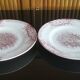 2 anciennes assiettes plates à fleurs rose poinçonner terre de fer hamage st amand "jardinière"