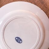 Set of 5 plates iron earth Salins