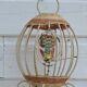 Vintage bird cage wall lamp
