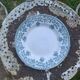 Set of 4 antique ironstone plates from Saint-Amand, "Jane" model.