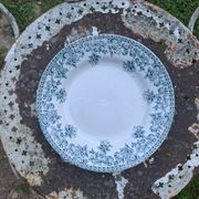 Set of 4 antique ironstone plates from Saint-Amand, "Jane" model.