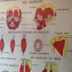 Poster teaching years 60 - muscle / skeletal health