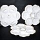 3 Limoges porcelain oyster plates
