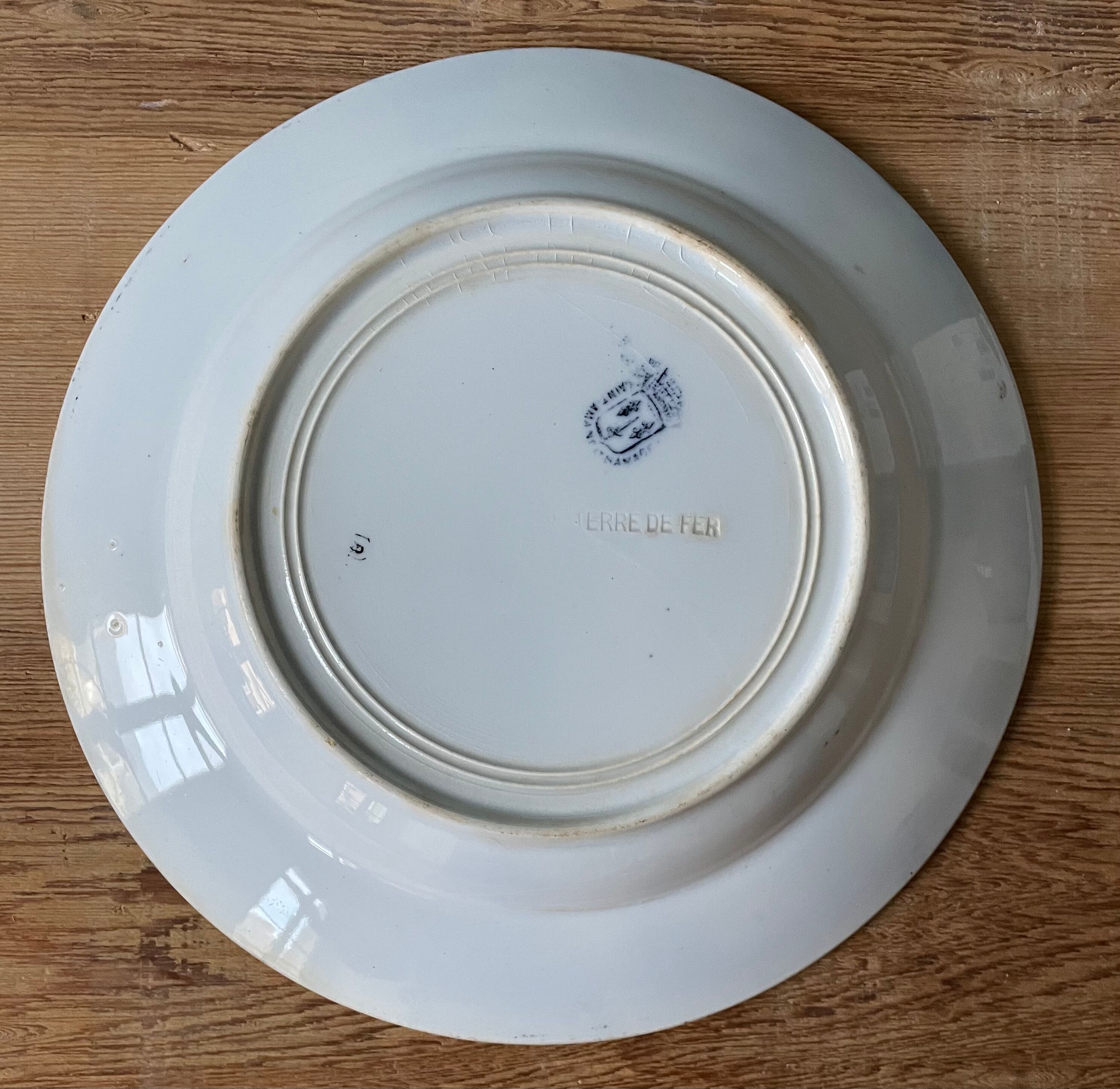 Set of 6 hollow plates Terre de Fer St Amand & Hamage