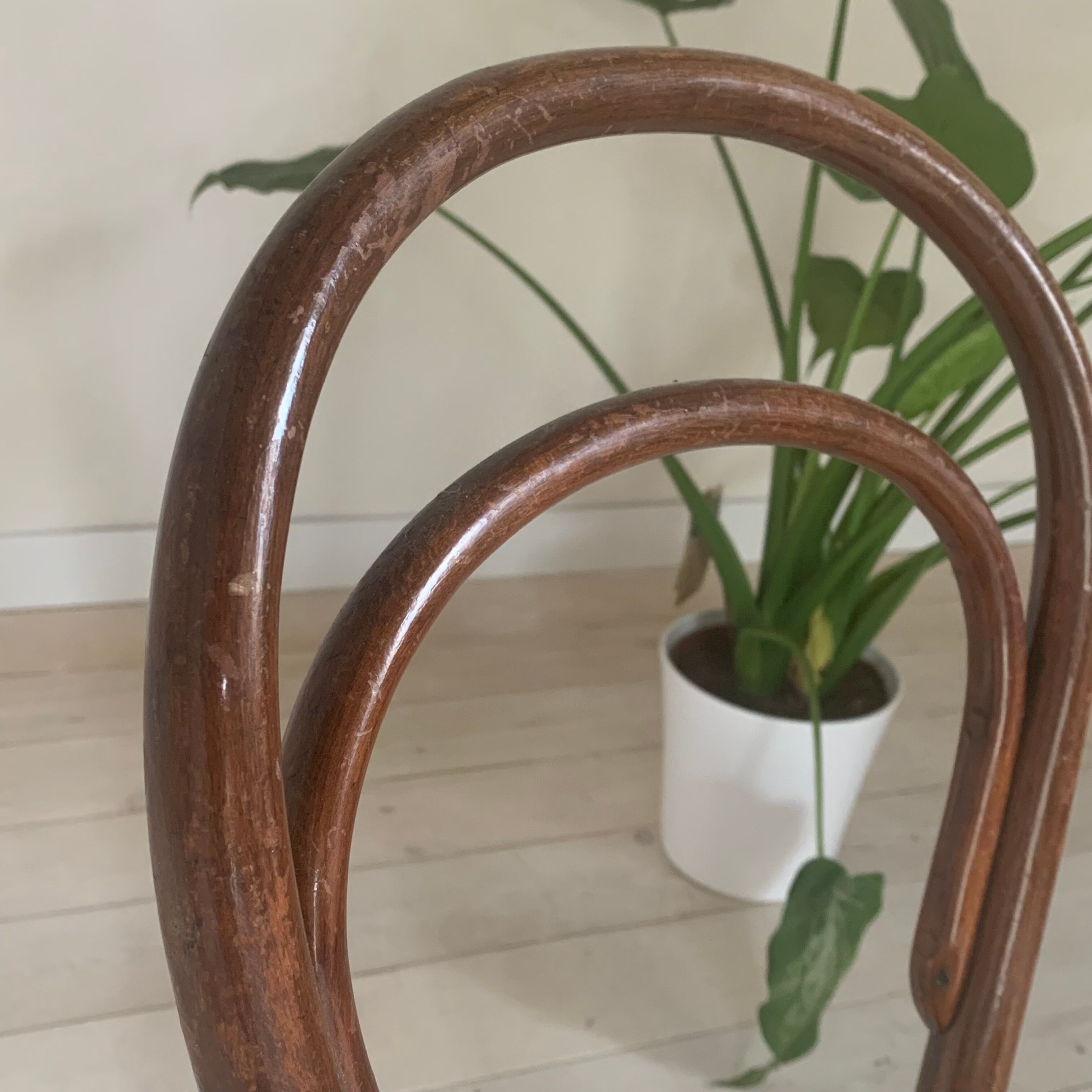 Antique Thonet chairs late 19th century Model 14