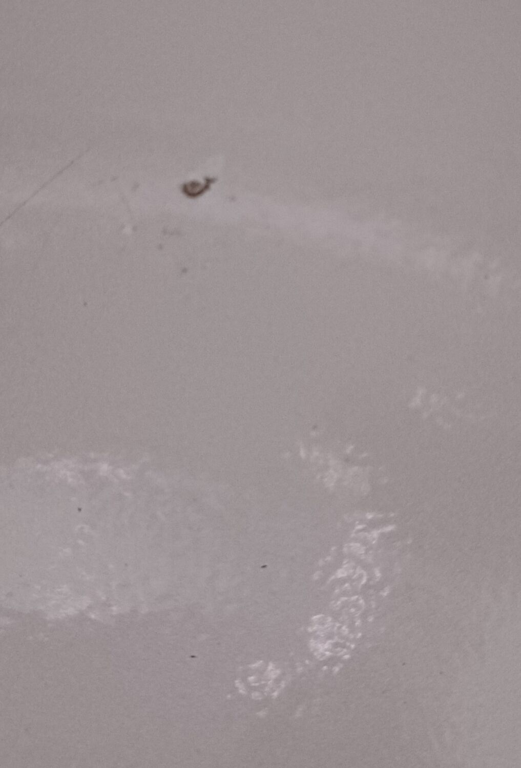 Cast iron pan Le Creuset