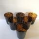 Six glasses tortoiseshells
