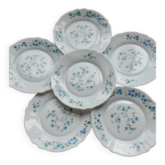 Set of 6 arcopal forget-me-not dessert plates